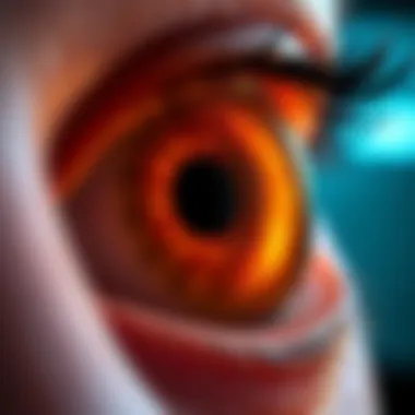 Common Retinal Disorders Visual representation of common retinal disorders