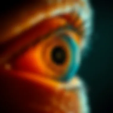 Advancements in Retinal Treatments Innovative treatment methods for retinal conditions