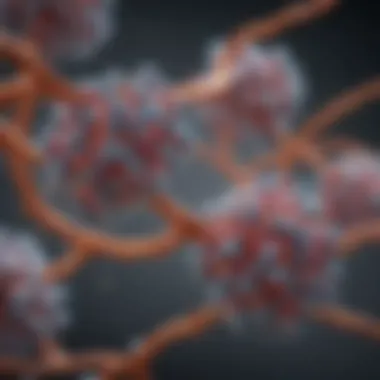 Predicted Protein Structures Visualization of protein structures predicted by AlphaFold