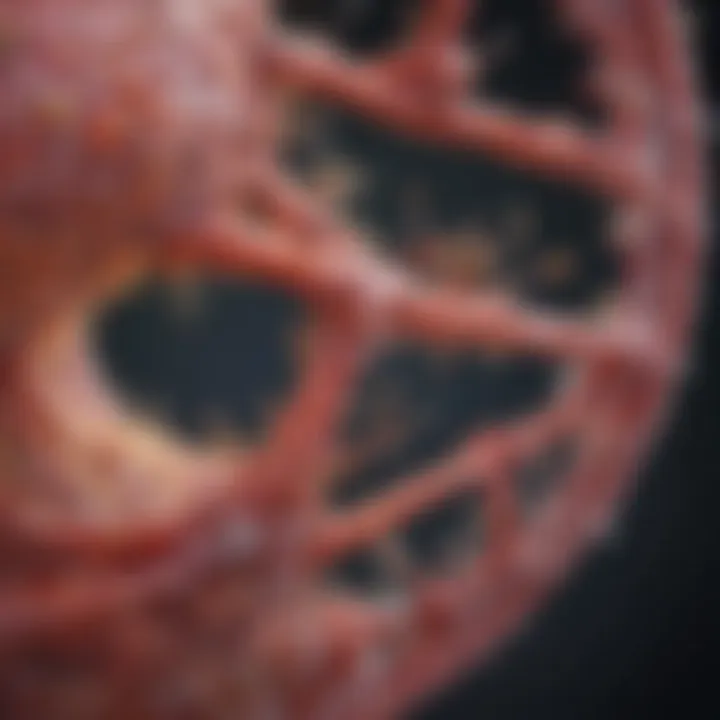 Exploring the Cas9 Enzyme: Mechanisms, Applications, and Future Directions Introduction