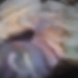 Serene landscape promoting mindfulness