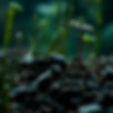 Notable Exploring the Depths of Environmental Science: A Comprehensive Overview Notable Exploring the Depths of Environmental Science: A Comprehensive Overview