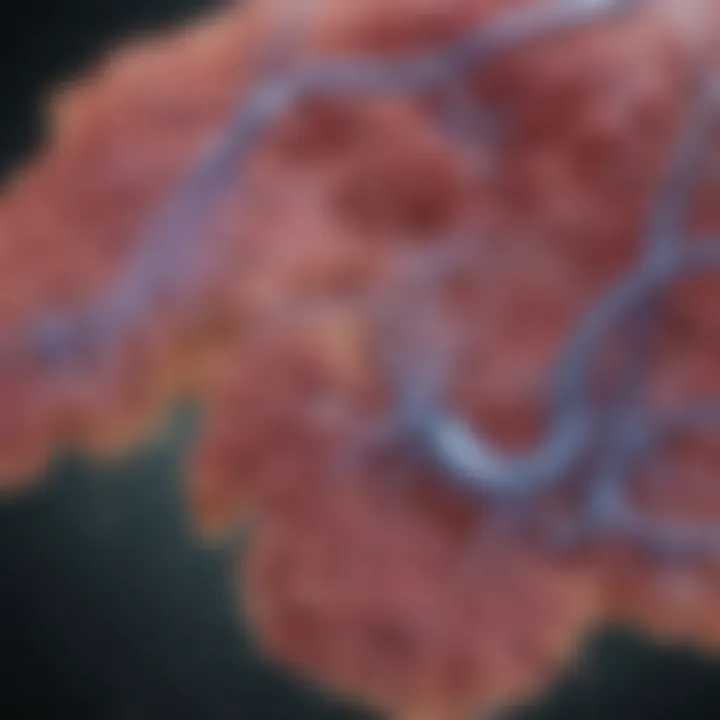 Physiological processes involving nitric oxide