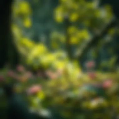 Natural environment showcasing biodiversity and ecological balance