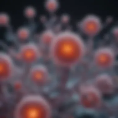 Microscopic View of Stem Cells An artistic representation of stem cells under a microscope