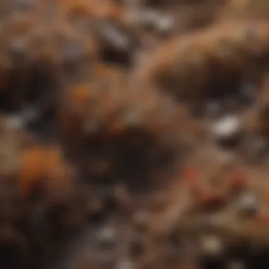 The Microbial World Beneath Our Feet A diverse range of soil microorganisms viewed under a microscope