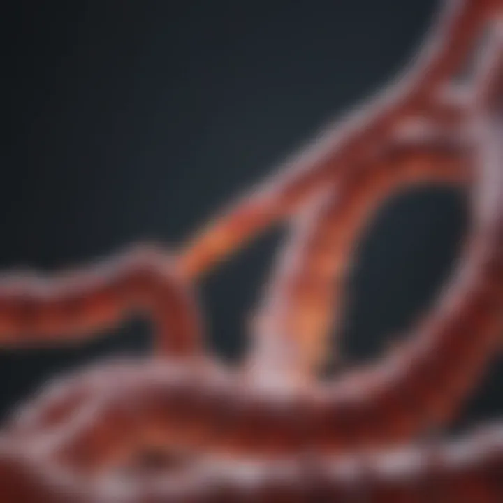 Graph showing the interaction between genes and environmental factors in colon cancer