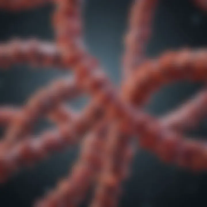 Genetic markers associated with colon cancer