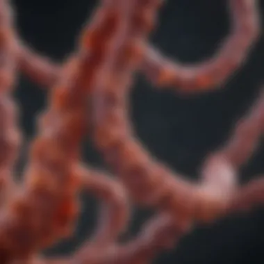 Research findings on mutations linked to colon cancer