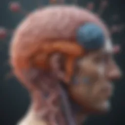 Visual representation of the gut-brain axis illustrating the communication between gut microbiota and cognitive functions.