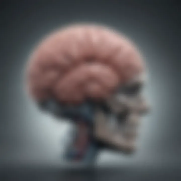 A diagram illustrating the relationship between brain fog and fatigue