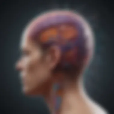 Metastatic Pathways of Scalp Melanoma Diagram illustrating metastatic pathways