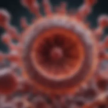 Understanding Hepatitis C Virus Structure Microscopic view of Hepatitis C virus structure