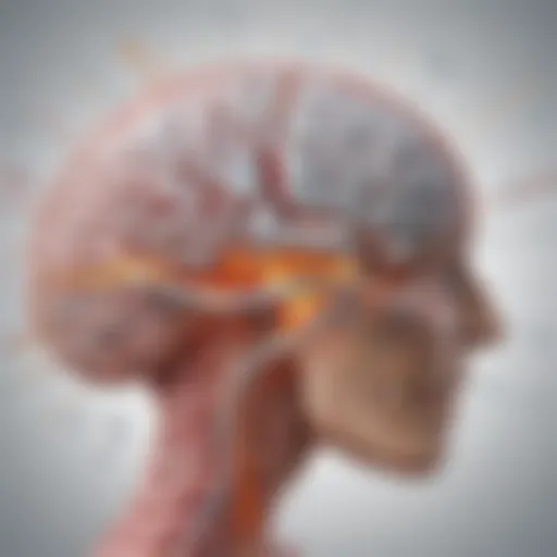 Diagram illustrating the biochemical pathways of vitamin D in the brain