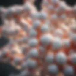 Molecular structure of glucosamine