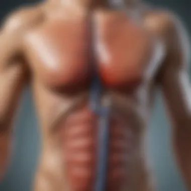 Illustration of autonomic nervous system's role in blood pressure regulation.
