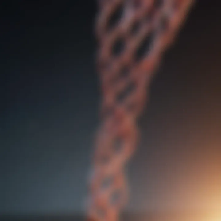Genetic predisposition to prostate cancer