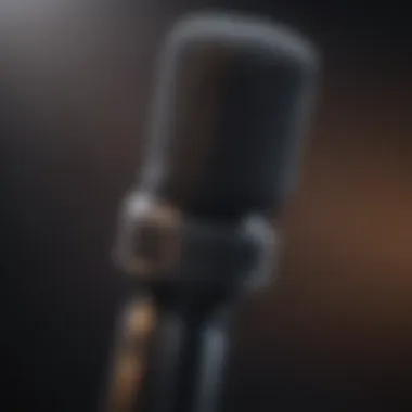 Innovative Design of Fiber Optic Microphones Illustration of fiber optic microphone design