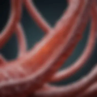 Fibrin Structure and Its Formation in Inflammation Fibrin structure and formation in the body