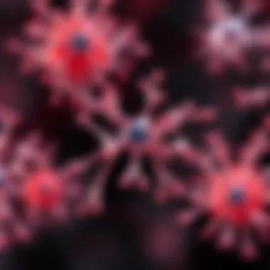 Mechanism of Action of Fluorouracil Mechanism of action of fluorouracil in cancer treatment