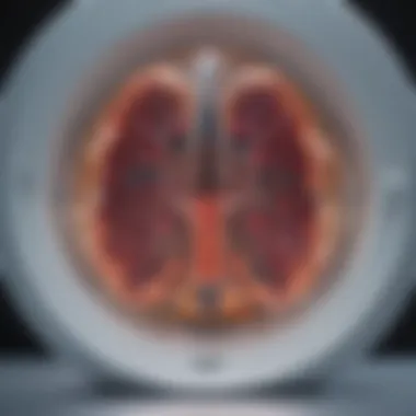 Future Advancements in CT Imaging Technology Future advancements in CT imaging technology for PE diagnosis