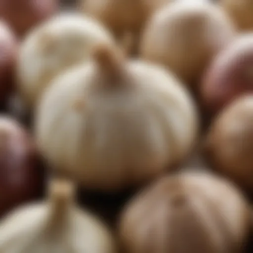 Close-up of garlic cloves showcasing their texture and color