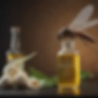 Illustration of a mosquito flying near a bottle of garlic oil