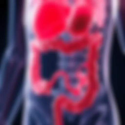 Anatomical diagram illustrating the gastrocolic reflex pathway