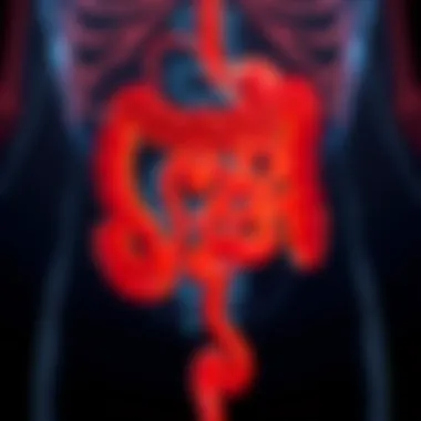 Gastrointestinal Motility and Ulcerative Colitis Visual representation of gastrointestinal motility in ulcerative colitis