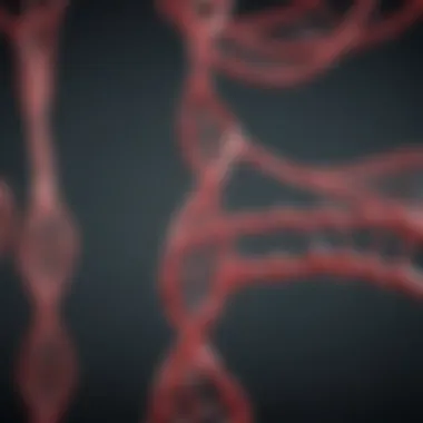 Gene Editing Methodology Overview Diagram showcasing the gene editing methodology