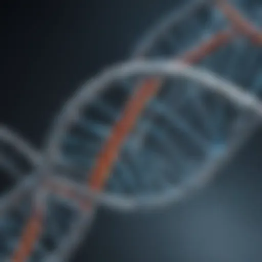 Detailed representation of a DNA double helix showcasing its structure