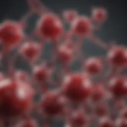 Illustration of the HBB gene structure
