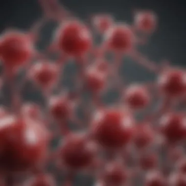 Molecular Architecture of the HBB Gene Illustration of the HBB gene structure
