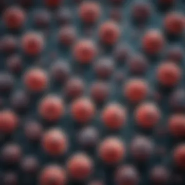 Visual representation of genetic variability in retroviruses