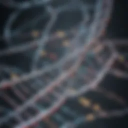 Illustration of genome sequencing methods showcasing various technologies