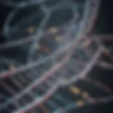 Diverse Technologies in Genome Sequencing Illustration of genome sequencing methods showcasing various technologies
