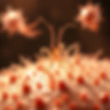 Innovative Therapies for H. pylori Infections Visual representation of emerging therapies for H. pylori