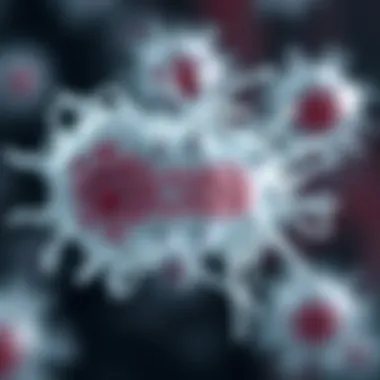Illustration depicting the structure of H. pylori bacteria