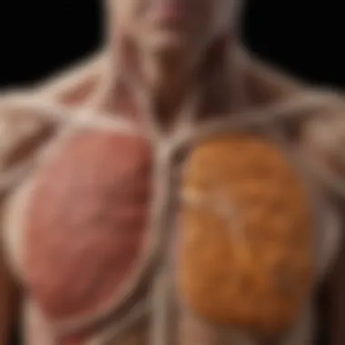 Tobacco-Related Disease Pathways Diagram depicting the pathway of tobacco-related diseases in the body