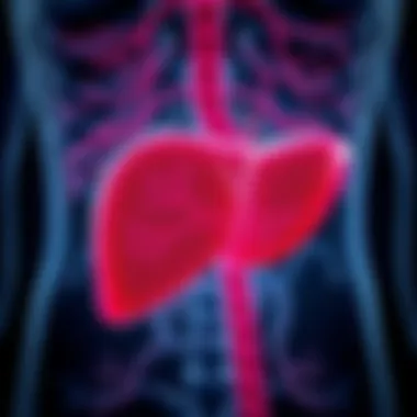Illustration depicting bile flow disruption in the liver
