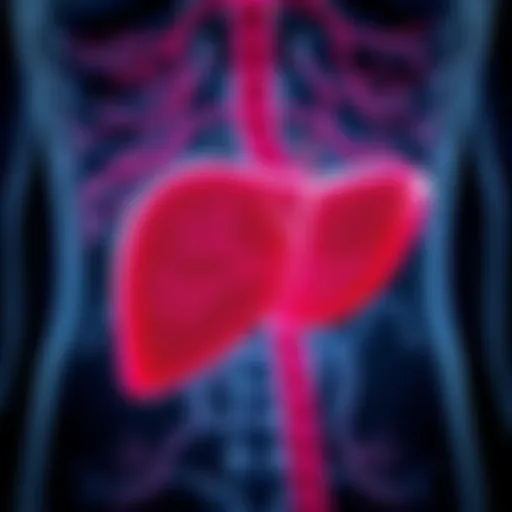 Illustration depicting bile flow disruption in the liver
