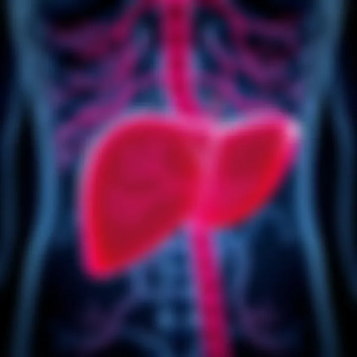 Illustration depicting bile flow disruption in the liver