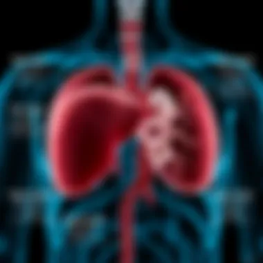 Diagram illustrating the causes of hepatic cholestasis