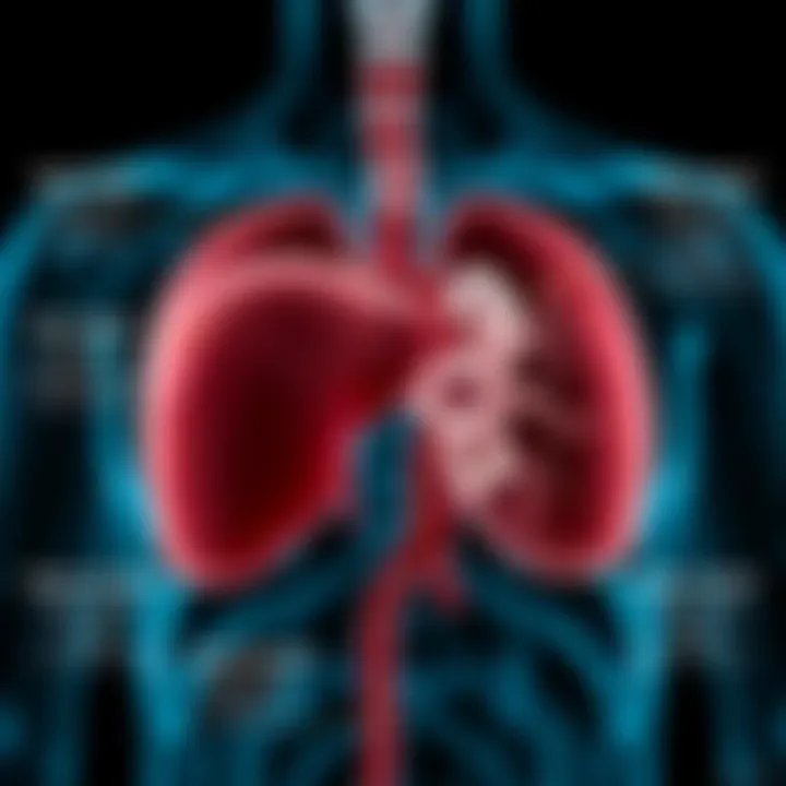 Diagram illustrating the causes of hepatic cholestasis