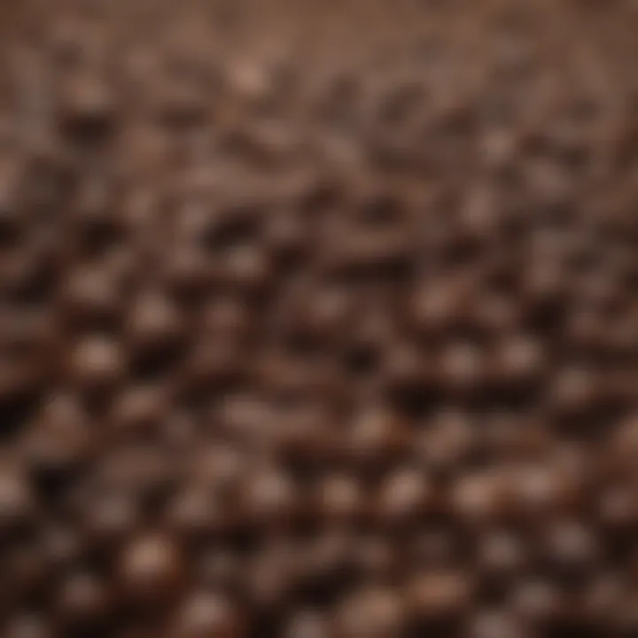 Close-up of roasted coffee beans showcasing their rich color