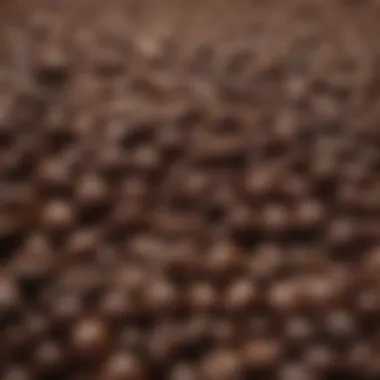 The Deep Flavor of Roasted Coffee Beans Close-up of roasted coffee beans showcasing their rich color