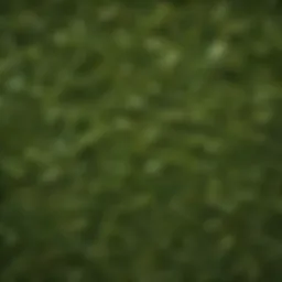 Vibrant green tea leaves flourishing in nature