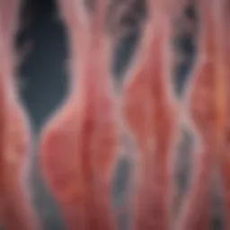 Microscopic view of smooth muscle cells highlighting their unique structure.