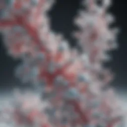 Molecular structure of hygromycin