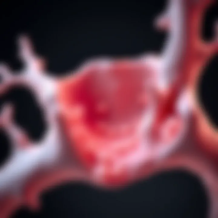 Bone marrow illustration showing reduced hematopoietic cells